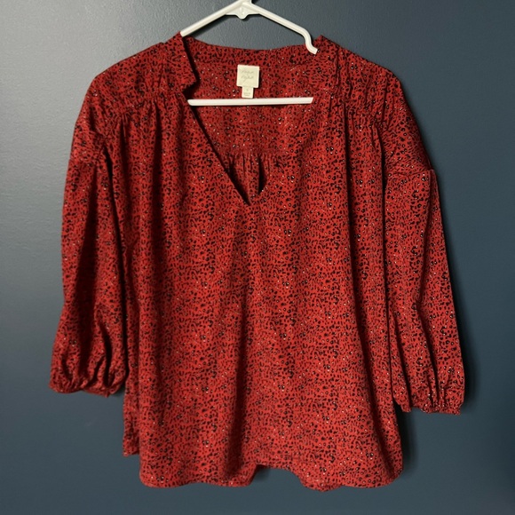 Roan and Ryan women’s Leopard print V-neck shirt blouse size small. 1090 - Picture 3 of 3